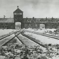 Understanding the Holocaust: A Comprehensive Look at One of History's Darkest Chapters