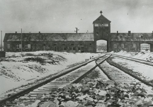Understanding the Holocaust: A Comprehensive Look at One of History's Darkest Chapters